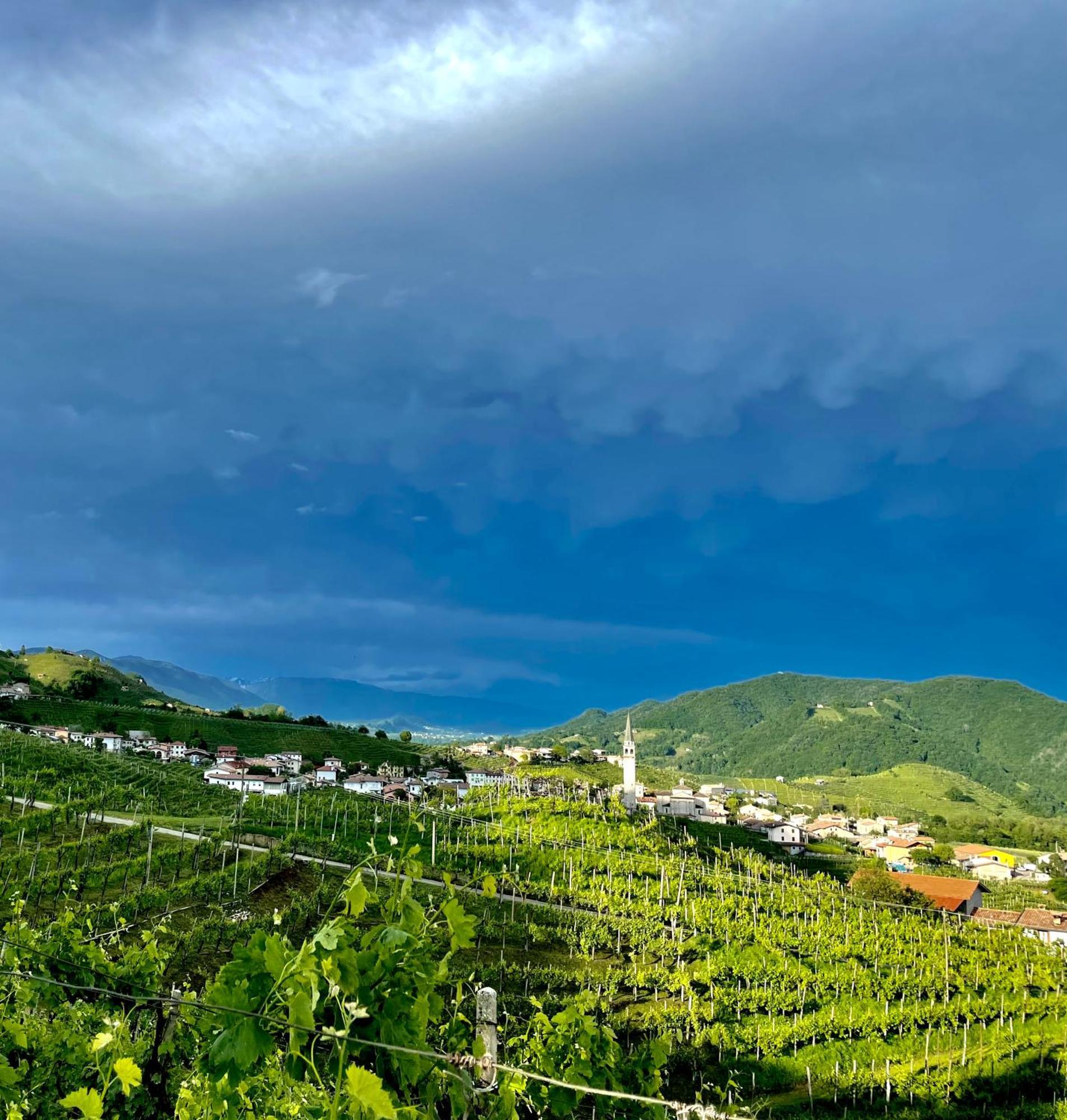 Ca'Lisel Villa Valdobbiadene Bagian luar foto
